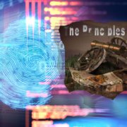 APPLYING THE PRINCIPLES OF WAR TO THE CYBER SECURITY DOMAIN Commander Subhash Dutta, Indian Navy (Retd)